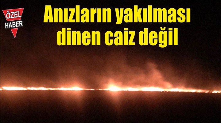 Anızların yakılması dinen caiz değil