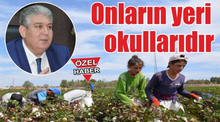 Onların yeri okullarıdır