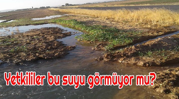 Yetkililer bu suyu görmüyor mu?