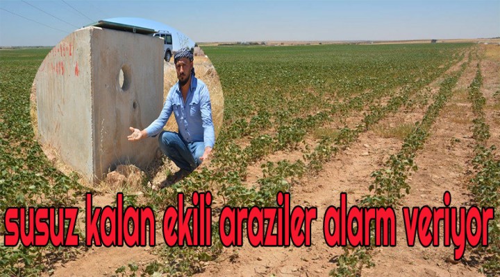 Akçakale’de susuz kalan ekili araziler alarm veriyor