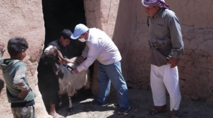 Sınır ötesine Urfa'dan destek