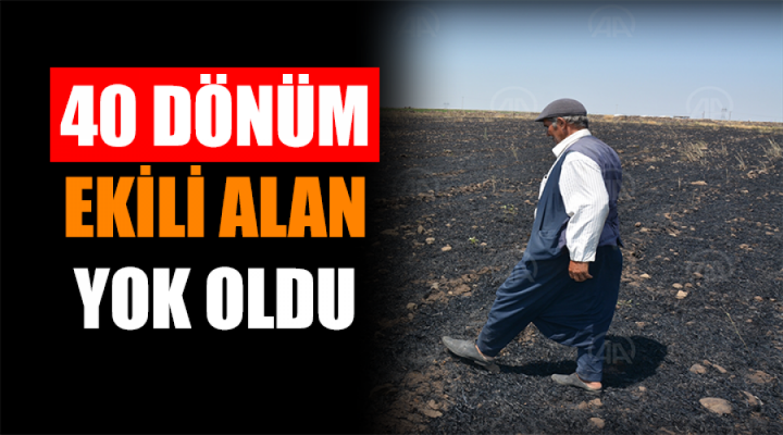 Ekili alan yok oldu