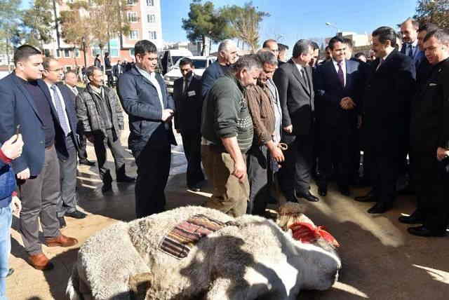 Bakan Çelik, Deveyi aşevine bağışladı