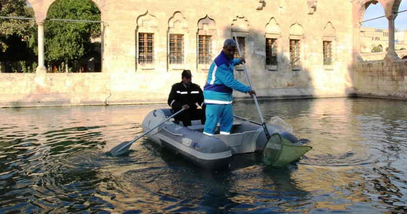 Balıklıgöl temizlendi