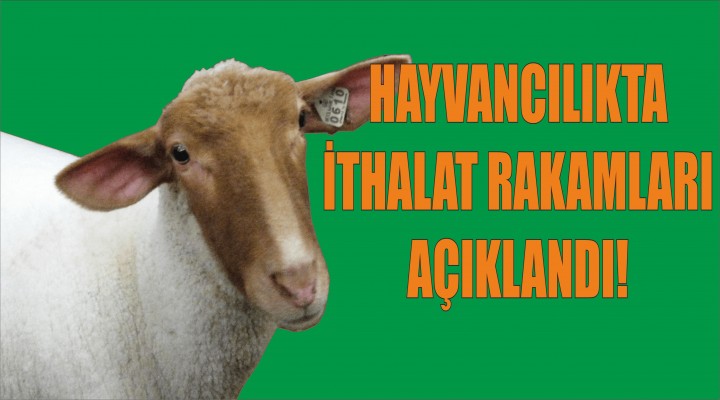 Hayvancılıkta ithalat rakamları açıklandı!