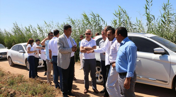 Harran’da tarım arazilerinin drenaj sorunu çözülüyor