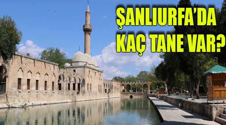 İllerdeki cami sayısı açıklandı!