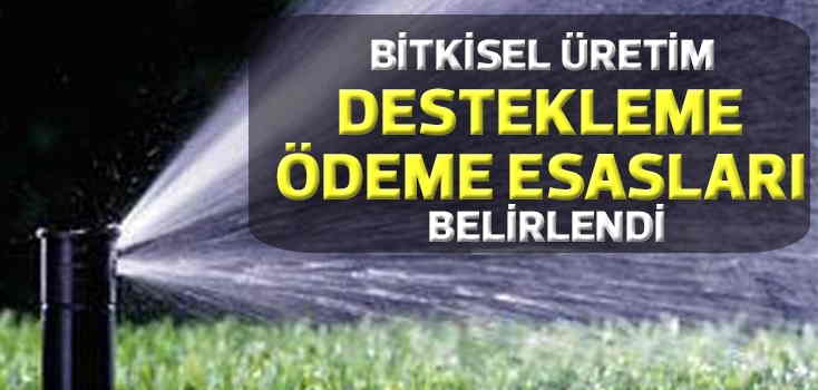 Bitkisel üretim destekleme ödeme esasları belirlendi