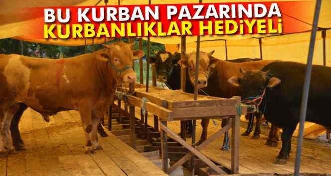 Bu kurban pazarında kurbanlıklar hediyeli