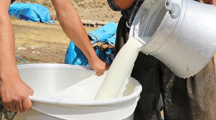 Çiğ süt fiyatları üreticiyi sevindirdi