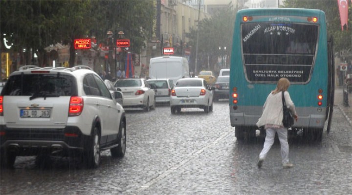 Yağmur çiftçinin yüzünü güldürdü