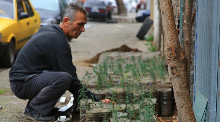 Pet şişede yetiştirdiği fidanlar ormana dönüşüyor