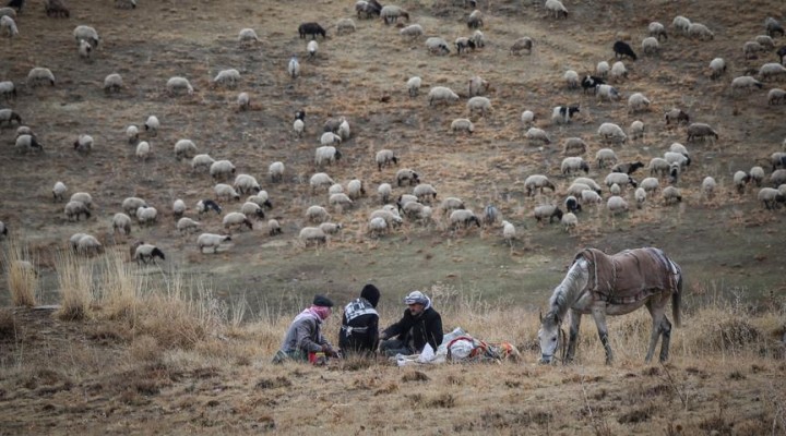 Doğu'da yayla hasreti sona eriyor