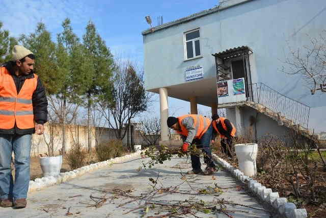 Ceylanpınar Belediyesinden camilere hizmet