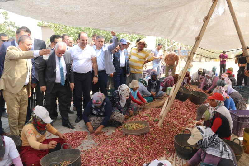 Çiftçi, "Şanlıurfa fıstığı bir marka değeri olmalı" 