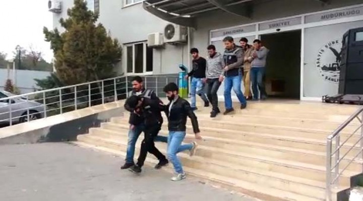 Şanlıurfa'da hırsızlığa 5 tutuklama