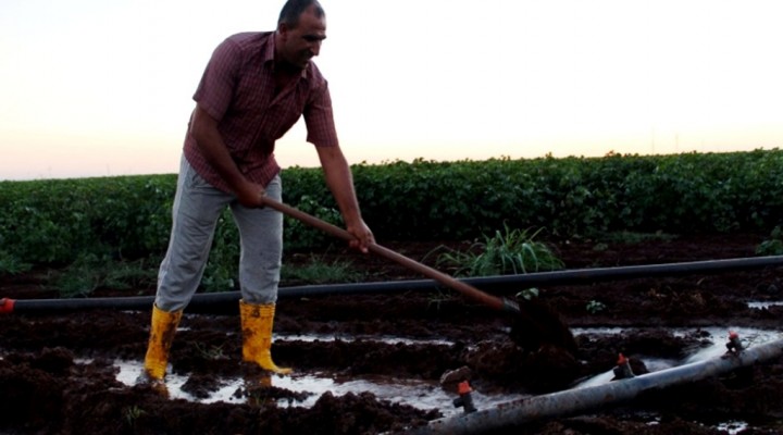 Tarım arazileri suya yeniden kavuştu