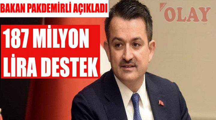 Destek ödemeleri başlıyor!