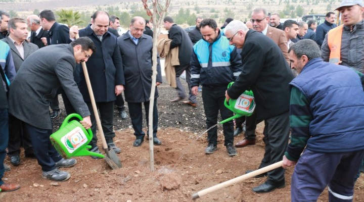 Başkan Çiftçi, ŞUSKİ personelleriyle birlikte ağaç dikti