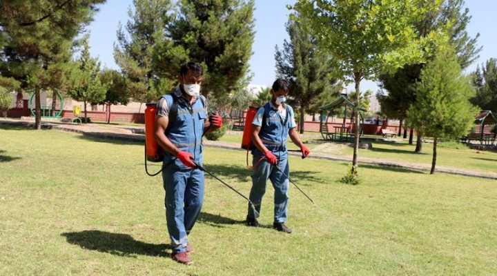 Ceylanpınar'da Parklarında İlaçlama Çalışması