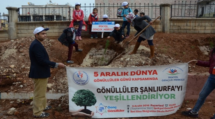 Gönüllüler Şanlıurfa’yı yeşillendiriyor