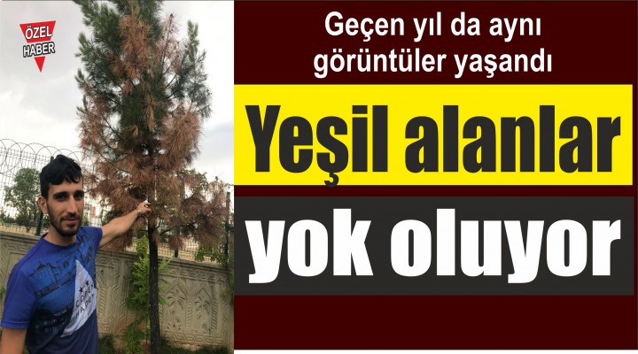 Yeşil alanlar yok oluyor