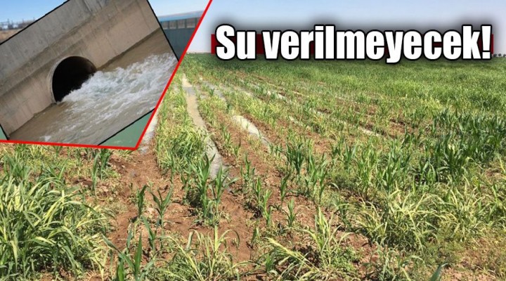 DSİ'den Suruçlu çiftçilere kötü haber