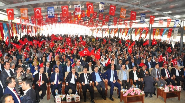 Bakan Çelik'ten Ceylanpınar'da toplu açılış