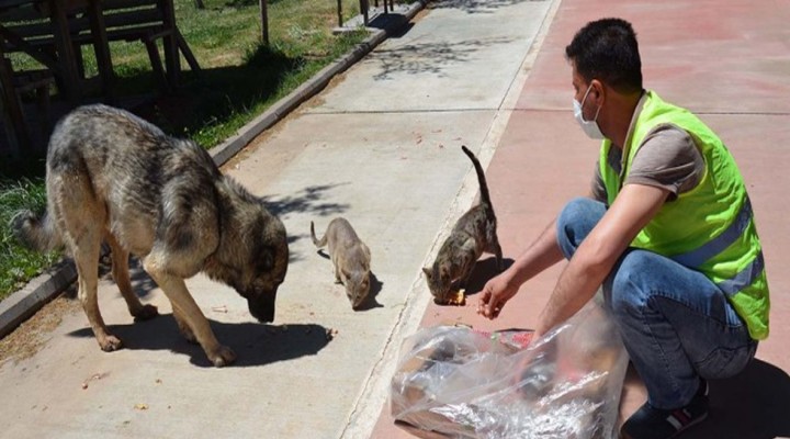 Siverek Belediyesi onları unutmadı