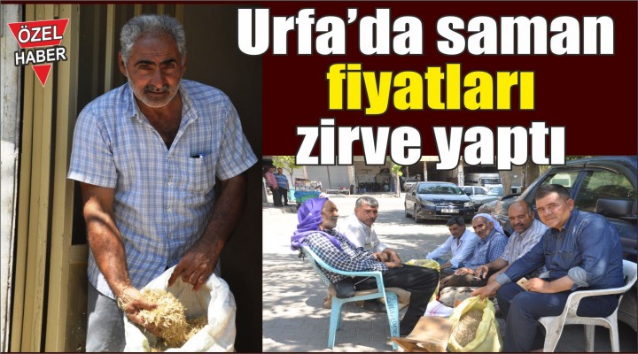 Saman Fiyatları zirve yaptı