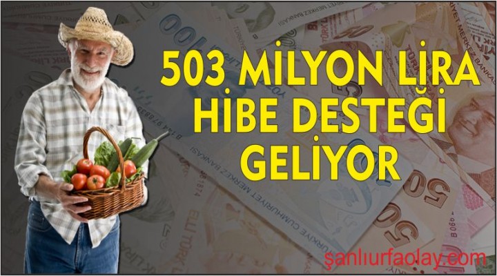 503 milyon lira hibe desteği geliyor