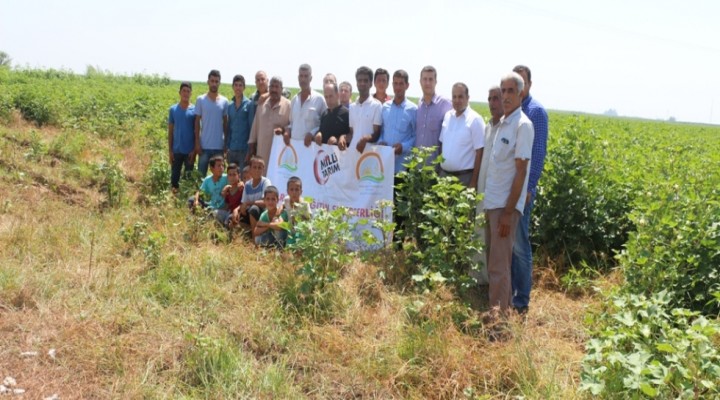 Harran’da Milli Tarım Projesi Hızla İlerliyor