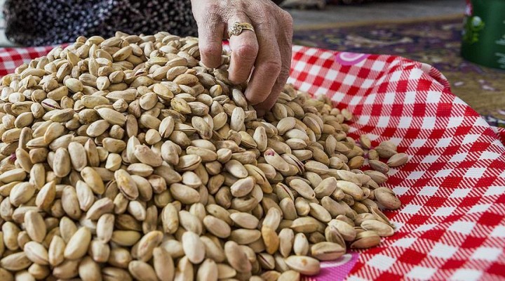 Antep fıstığını Konya'da üretip Gaziantep'e satıyorlar