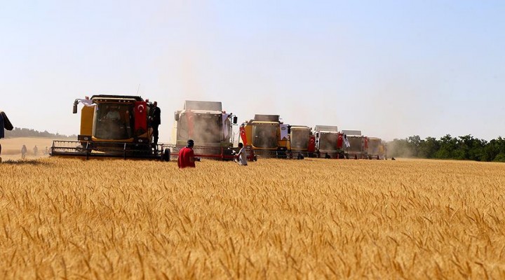 Buğday alım fiyatı açıklandı