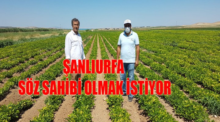 Şanlıurfa, artık yeni ürünlerle tanışıyor