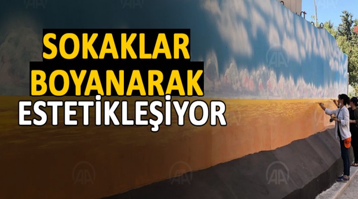 Suruç'ta sokaklar grafitiyle renkleniyor