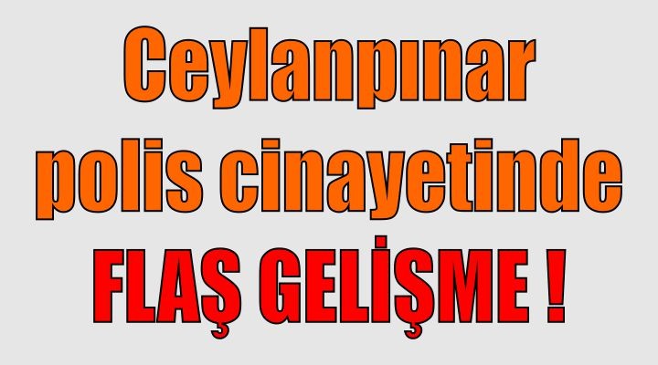 Ceylanpınar polis cinayetinde flaş gelişme!