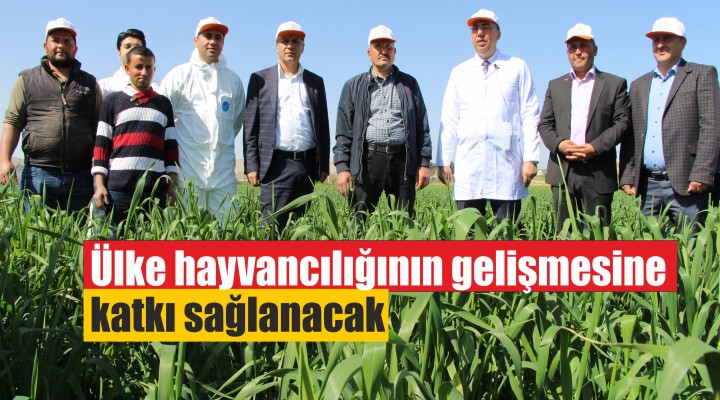 Ülke hayvancılığının gelişmesine katkı sağlanacak