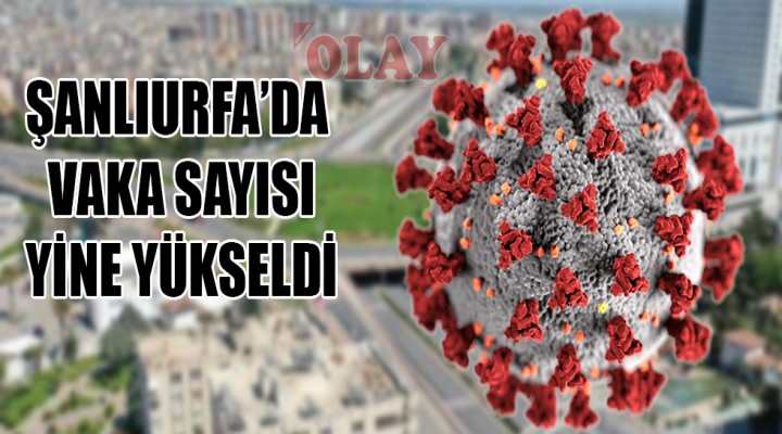 Şanlıurfa'da'da vaka sayısı korkunç rakama ulaştı!