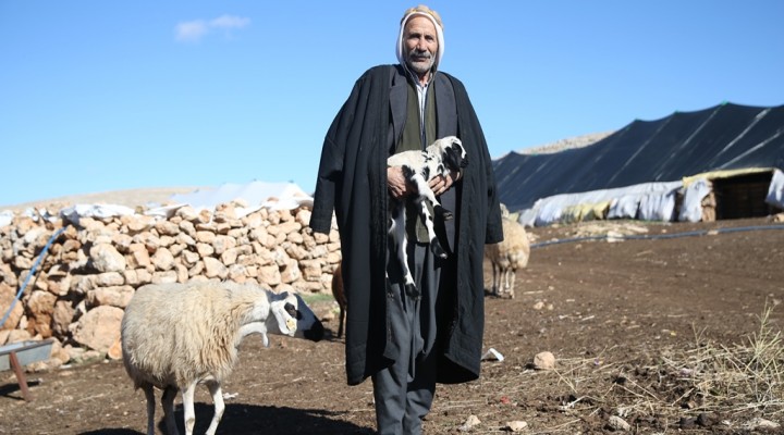 Urfalı Göçer Ali'nin hayvancılıkla geçen ömrü