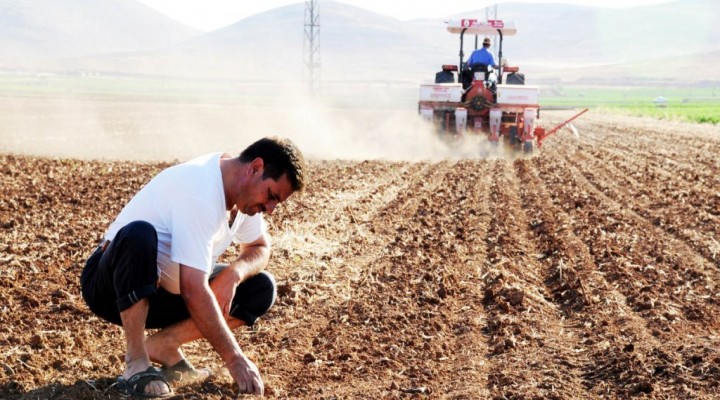 Teröre Bulaşan Çiftçinin Hibe Pirimine El Konuldu