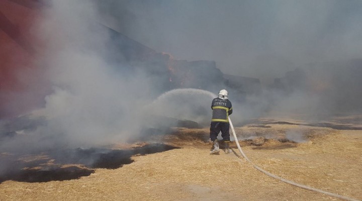 Şanlıurfa'da samanlık yangını