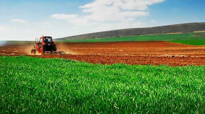 Tarım Bakanı açıkladı... 138 projeye 290 milyon liralık yatırım!