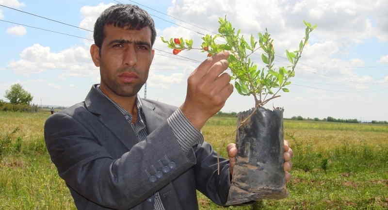 Genç Çiftçi hibe başvurularında bugün son gün