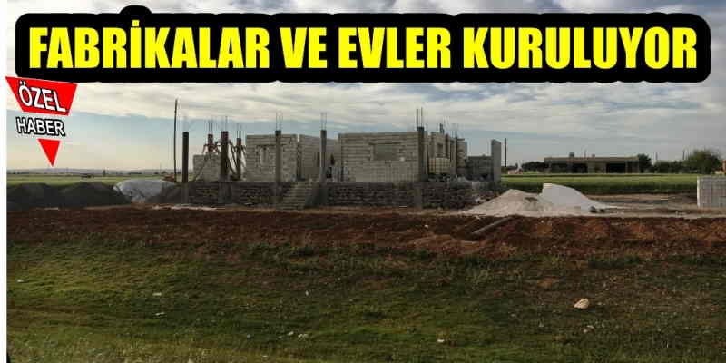 Harran Ovası talan ediliyor