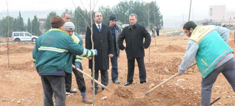 Karaköprü'de hedef 103 bin ağaç 