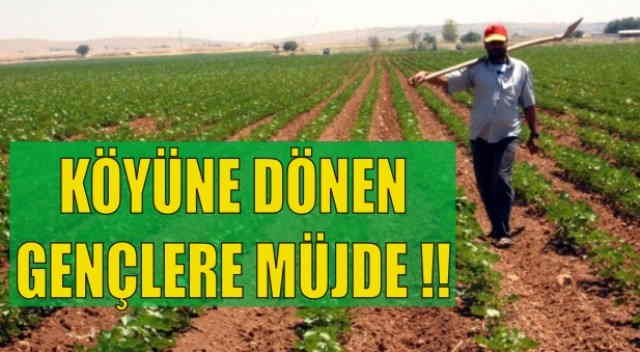 Köyüne dönen gençlere karşılıksız 30 bin TL