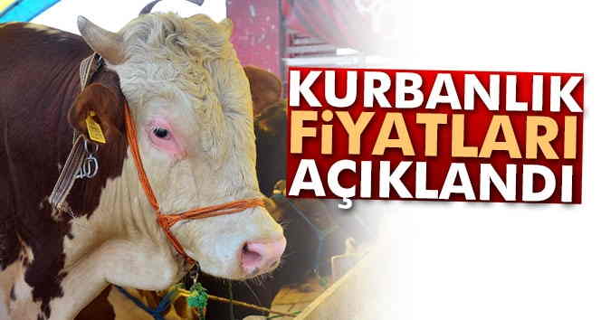 Kurbanlık fiyatları açıklandı