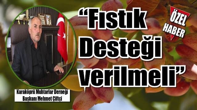 Mehmet Çiftçi: Fıstık desteği verilmelidir