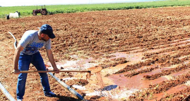 Şanlıurfa'da tarım arazileri suya kavuşacak